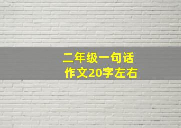 二年级一句话作文20字左右