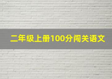 二年级上册100分闯关语文