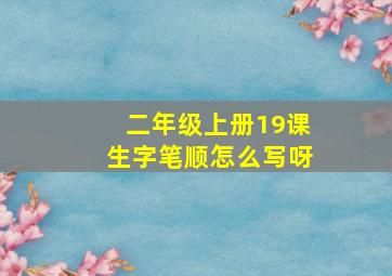 二年级上册19课生字笔顺怎么写呀