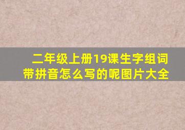 二年级上册19课生字组词带拼音怎么写的呢图片大全