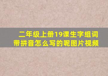 二年级上册19课生字组词带拼音怎么写的呢图片视频