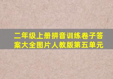 二年级上册拼音训练卷子答案大全图片人教版第五单元