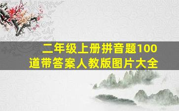 二年级上册拼音题100道带答案人教版图片大全