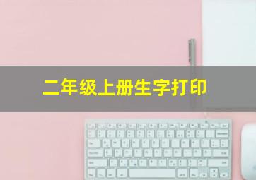 二年级上册生字打印