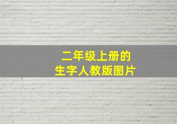 二年级上册的生字人教版图片