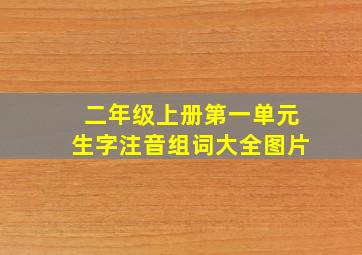 二年级上册第一单元生字注音组词大全图片