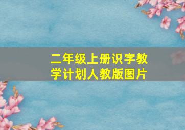 二年级上册识字教学计划人教版图片