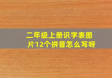 二年级上册识字表图片12个拼音怎么写呀