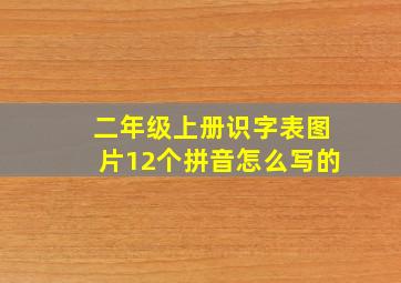 二年级上册识字表图片12个拼音怎么写的