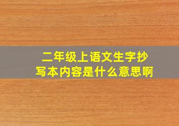 二年级上语文生字抄写本内容是什么意思啊