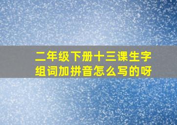 二年级下册十三课生字组词加拼音怎么写的呀