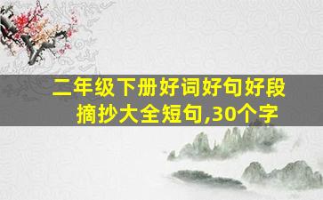 二年级下册好词好句好段摘抄大全短句,30个字