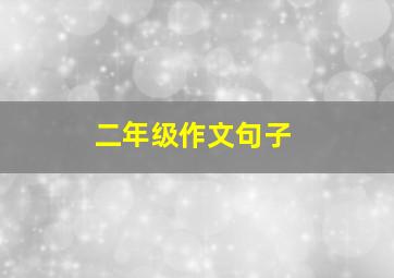 二年级作文句子