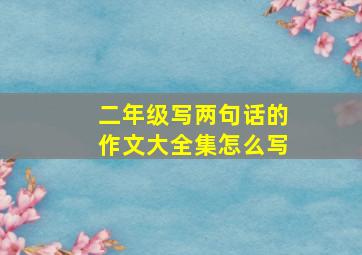 二年级写两句话的作文大全集怎么写