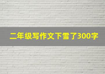 二年级写作文下雪了300字