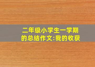 二年级小学生一学期的总结作文:我的收获