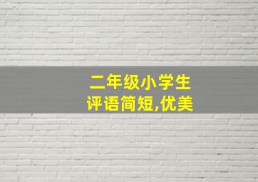 二年级小学生评语简短,优美