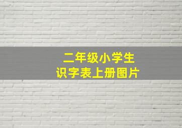 二年级小学生识字表上册图片