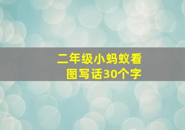 二年级小蚂蚁看图写话30个字