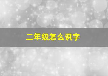 二年级怎么识字