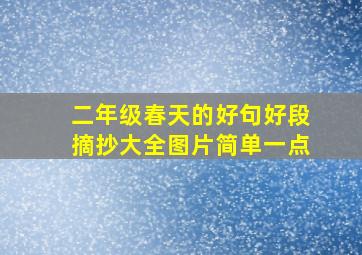 二年级春天的好句好段摘抄大全图片简单一点