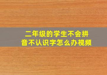 二年级的学生不会拼音不认识字怎么办视频