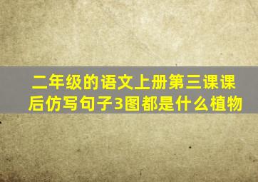 二年级的语文上册第三课课后仿写句子3图都是什么植物