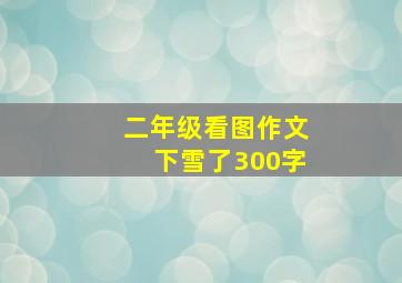 二年级看图作文下雪了300字