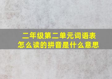 二年级第二单元词语表怎么读的拼音是什么意思