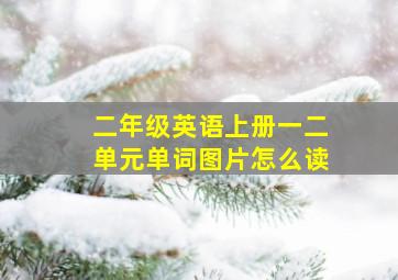 二年级英语上册一二单元单词图片怎么读