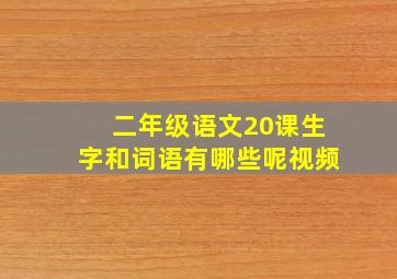 二年级语文20课生字和词语有哪些呢视频