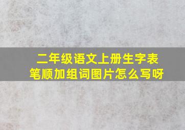 二年级语文上册生字表笔顺加组词图片怎么写呀