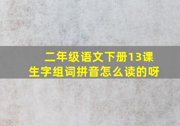 二年级语文下册13课生字组词拼音怎么读的呀