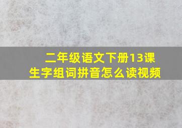 二年级语文下册13课生字组词拼音怎么读视频