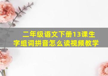 二年级语文下册13课生字组词拼音怎么读视频教学