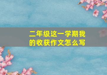 二年级这一学期我的收获作文怎么写