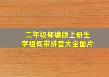 二年级部编版上册生字组词带拼音大全图片