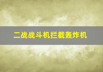 二战战斗机拦截轰炸机