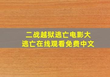 二战越狱逃亡电影大逃亡在线观看免费中文