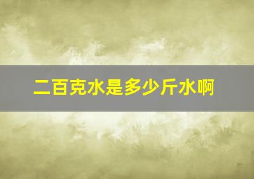 二百克水是多少斤水啊