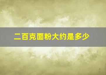 二百克面粉大约是多少