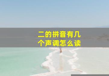 二的拼音有几个声调怎么读