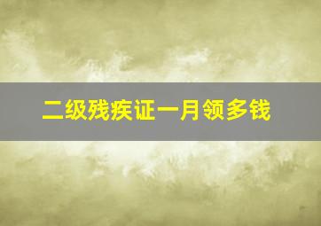 二级残疾证一月领多钱