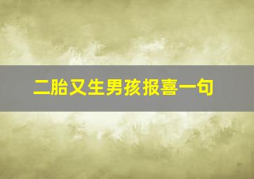 二胎又生男孩报喜一句