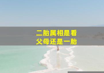 二胎属相是看父母还是一胎