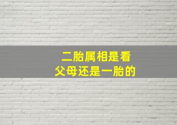 二胎属相是看父母还是一胎的