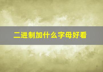 二进制加什么字母好看