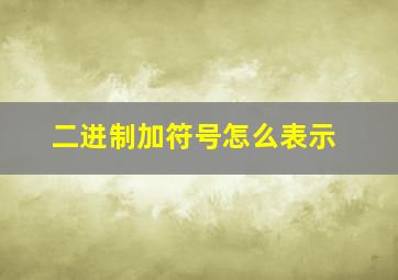 二进制加符号怎么表示