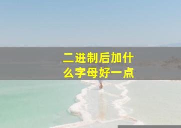 二进制后加什么字母好一点