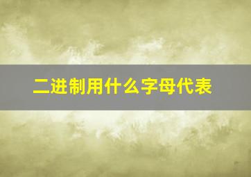 二进制用什么字母代表